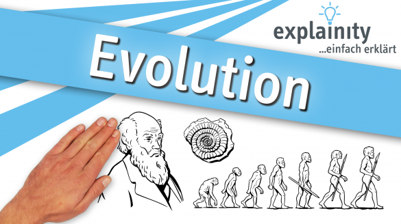 Evolution 2024 Explainity Thumbnail